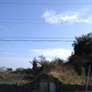 이교동일제군사시설 이미지