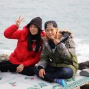 다정한파도 이미지