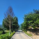 도대2리마을회관 이미지