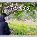 설봉 한명화 시인의 시낭송 갤러리 / 진달래꽃 이미지