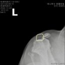 문산 동물병원 이미지