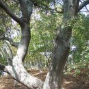 지송농장 이미지