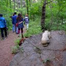 도깨비마을 이미지