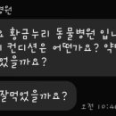 황금누리동물병원 이미지