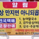 원조송이와능이향