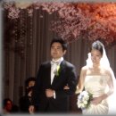 임*호 이미지