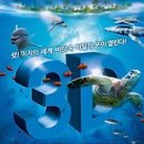 (주)케이디미디어 이미지