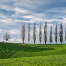 공감심리상담. 행정사. 인력사무소 이미지