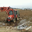 영주볏짚 이미지