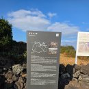 토산2리마을회관 | 제주올레 21코스와 4코스 이어서 걷기(2025.12.15)