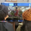 정우식소아청소년과의원 이미지