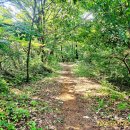 금남면사무소 이미지