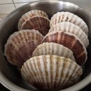 월드수산 - 5653 | 노량진 가리비 맛집 월드수산 후기 | 노량진 새우까지 완벽한 단골 수산시장 방문기