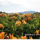 라온내과의원 이미지