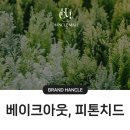 에스제이씨앤엠