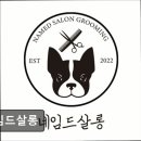 네임드 살롱 이미지