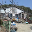 이교집 | [맛집]인제 이교매운탕 리뷰(솔직후기)