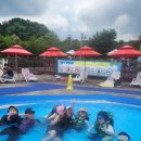 충의합기도 이미지