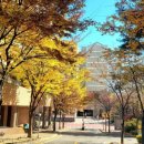 뉴에이스공인중개사사무소 이미지