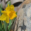 담양라라345 이미지