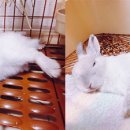 공존의 행복 이미지