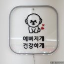 사람과 애견미용 | 강아지 맡겼는데 힐링하고 왔어요🐶 도계동 애견미용 개등바디샵 리얼 후기