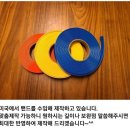 나드리독 이미지