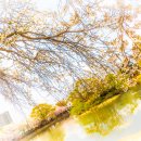 창녕 남지 개비리 이미지