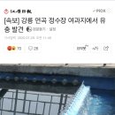 [속보] 강릉 연곡 정수장 여과지에서 유충 발견 이미지