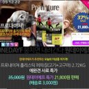 퍼피원데이 이미지