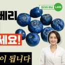 냉동 블루베리 이미지