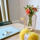 멍떼루와 이미지