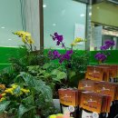 창동골프스쿨 이미지