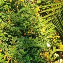 (주)사이클론 이미지