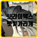 햇빛 | 브라이텍스 카시트 햇빛가리개 설치 후기! 마니또 선셰이드 썬바이저