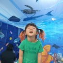 예꼬어린이집 이미지