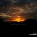 봉황산나래숲 이미지