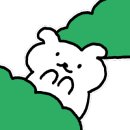 보홀로드 이미지