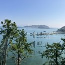 디스커버리풀빌라A 이미지