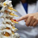 포도나무한의원 이미지