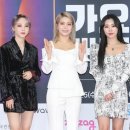 레드카펫 이미지