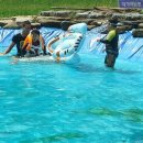 대가야센터-9 이미지