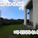 제주 하늘 바다 민박 | 제주 독채 숙소 추천 💙 루프탑 감성 가득한 신축 민박 제주옥상달빛