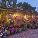 타샤의정원 이미지