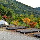 예손농원캠핑장 이미지