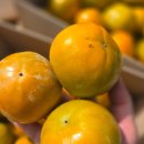 분 나서 더 달콤한 부유단감 5키로 14,000원~ 이미지