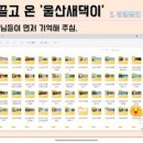 리리컴