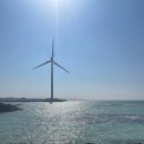 코난비치 이미지