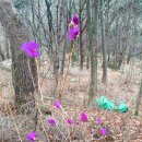 낙동고등학교 이미지