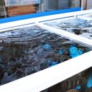 유명횟집 이미지